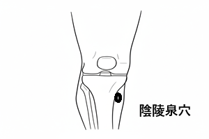 陰陵泉穴 陰陵泉穴