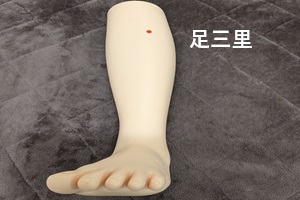 足三里穴 足三里穴
